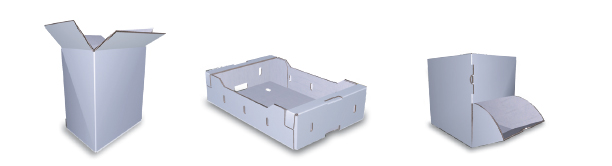 carton caisse americaine