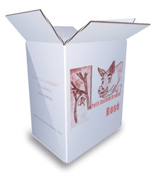 carton_original